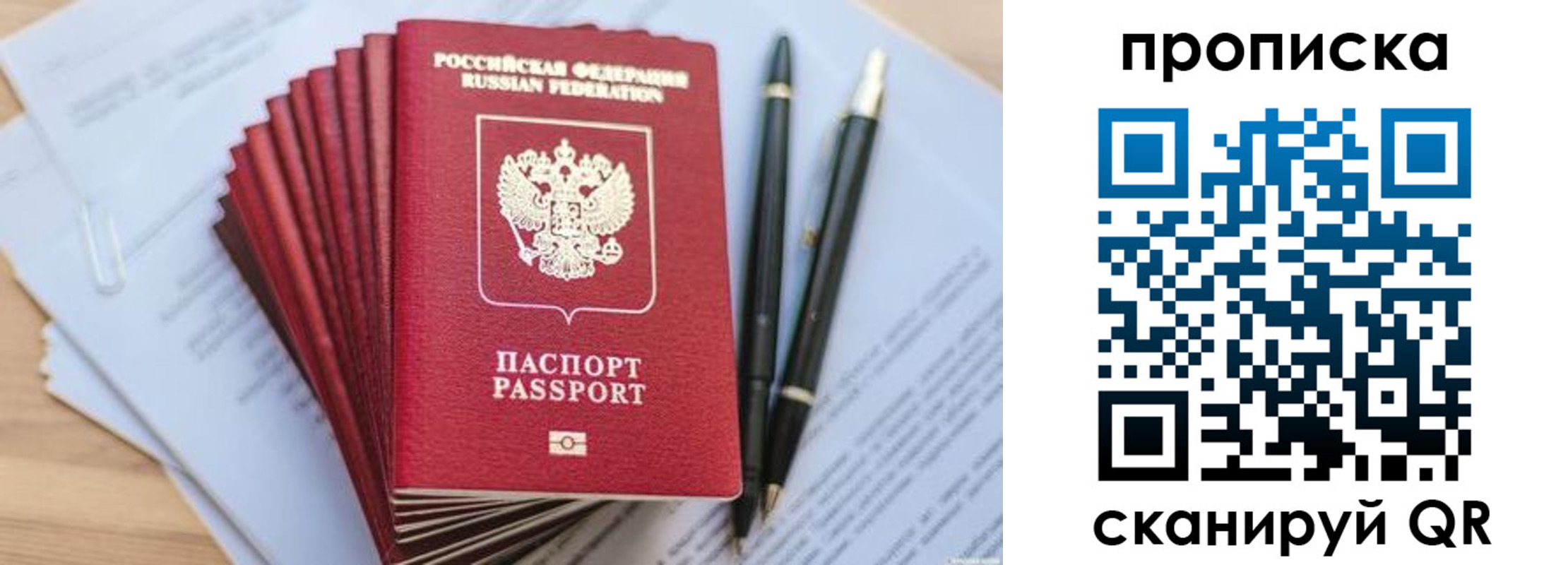 прописка для школы в Тольятти